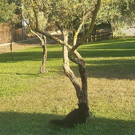 Relax Fra I Mirti * Αλγκέρο